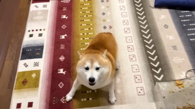 高速フェイント