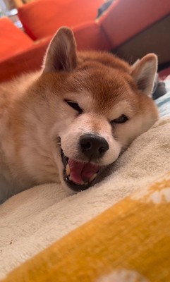 お姉ちゃんとの再会にニコニコ♪