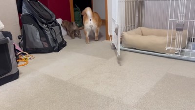 「見守らなくちゃ」