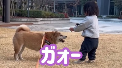 怪獣の真似をするひよりちゃん