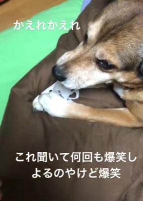 マスクをおもちゃに…