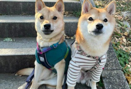 努力が実ったね