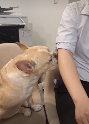 交渉は続きます…!