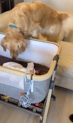 優しさ100%のマックくん