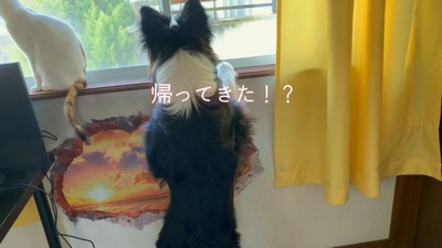 急いで窓の前へ！