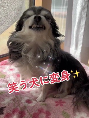 素敵な笑顔にホッコリ♡