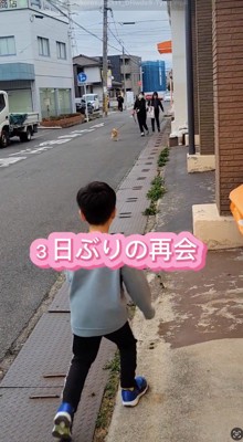 歩いてくる犬に気が付いて近寄る男の子