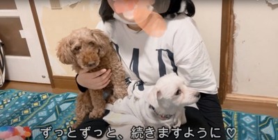 保護主の膝近くにいる2匹の犬と、肩に乗る犬