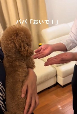 犬に手を差し出す2