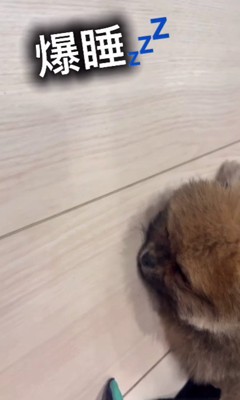 ぐっすり熟睡中でした♡