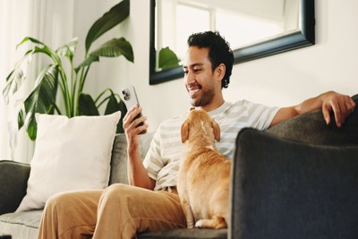 スマホを見る男性と犬