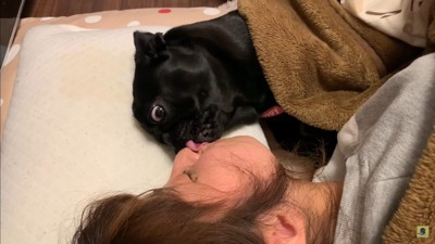 ママさんを介抱するわさび君7