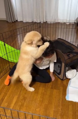 男の子に覆いかぶさるラニーちゃん