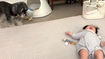 少し離れて様子をうかがっています