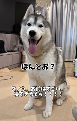 笑顔を見せる犬