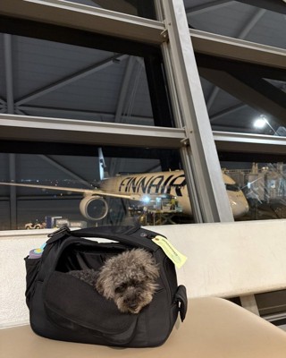 飛行機とエマちゃん