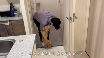 足元でじゃれるアムくん