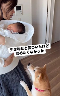 赤ちゃんがやってきた