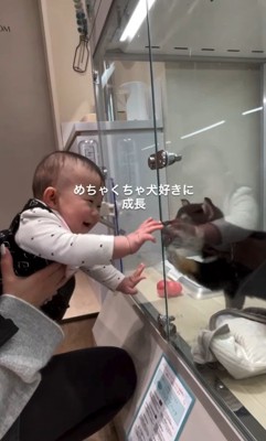 ガラス越しにご挨拶