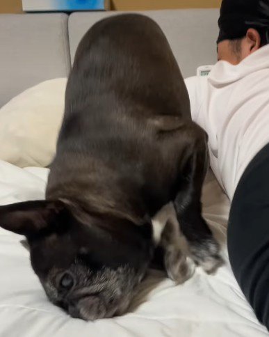 思わず取り乱すニッキーちゃん