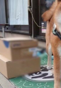 お届け完了通知に写されていたのは…