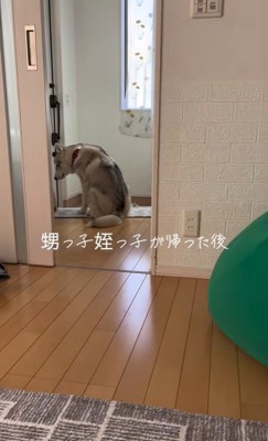 甥っ子と姪っ子が帰った後の神ちゃん5