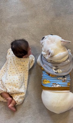 こぶし君と赤ちゃん⑩