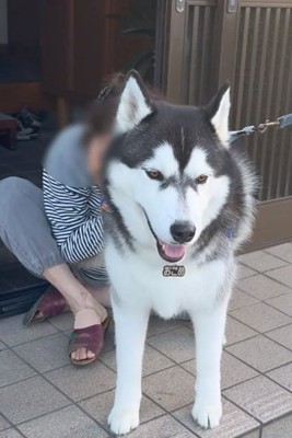 おばあちゃんが大好きなおこめくん