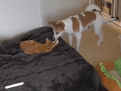 「一緒に寝よう」