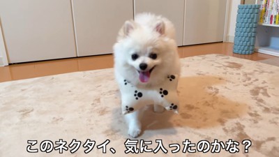 おもちゃをぶら下げるペコちゃん10