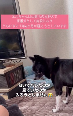 隠れ家に入ることを躊躇