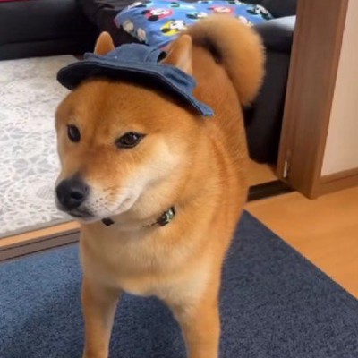 「これは僕のだから!」