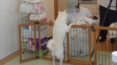 坊やちゃんに興味津々!!