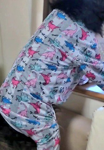 よくよく見てみると…