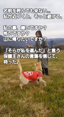 落ちていたゴルフボールを宙に投げる女性