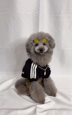 黒い服を着るこてつくん