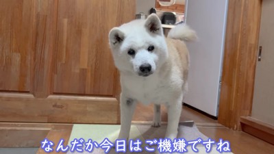 「お母さん、帰ってくる？」