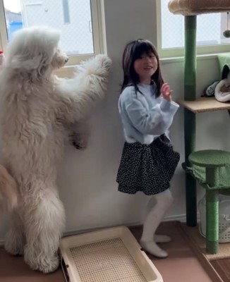 振り返る女の子と犬