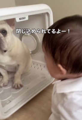 「助けられない…」