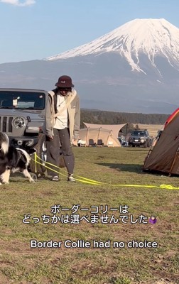 リードを持ち出す犬