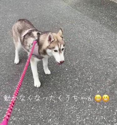 「まだ帰りたくない～」