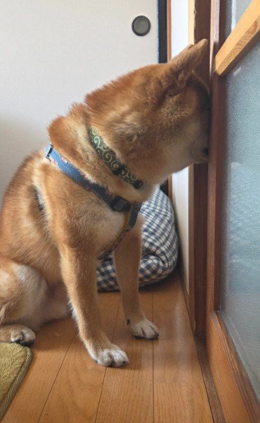 「ちゃんと仕事してる？」