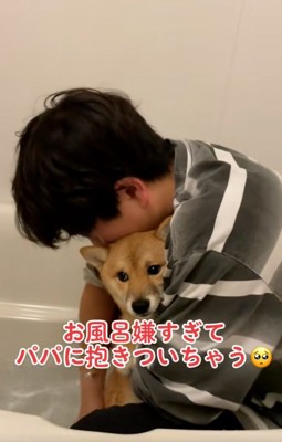 嫌そうなまろ君