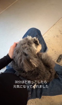 雷を怖がるジジちゃん9