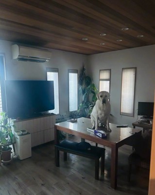 まさかの場所にいるレトちゃん4