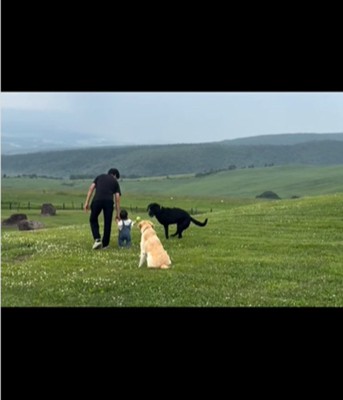 手にボールを持つ赤ちゃん