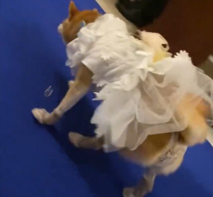 まさかのハプニング