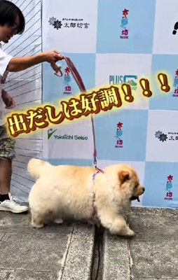 スタートから猛ダッシュ