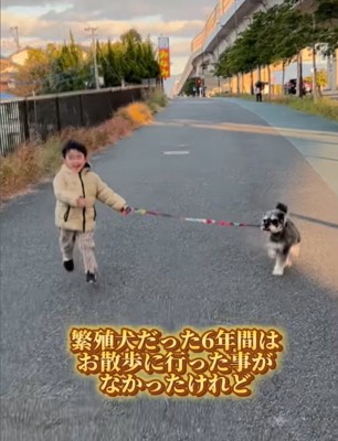 散歩する犬と男の子