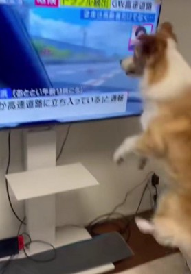 家の中でのヒトコマ